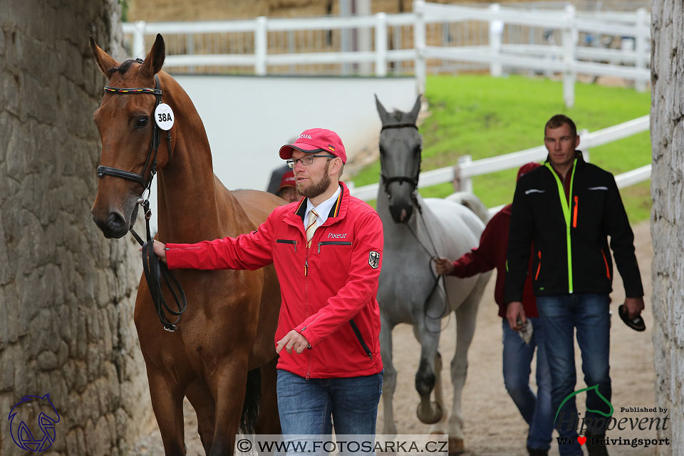 MS 2 Lipica 2017 - kondičky