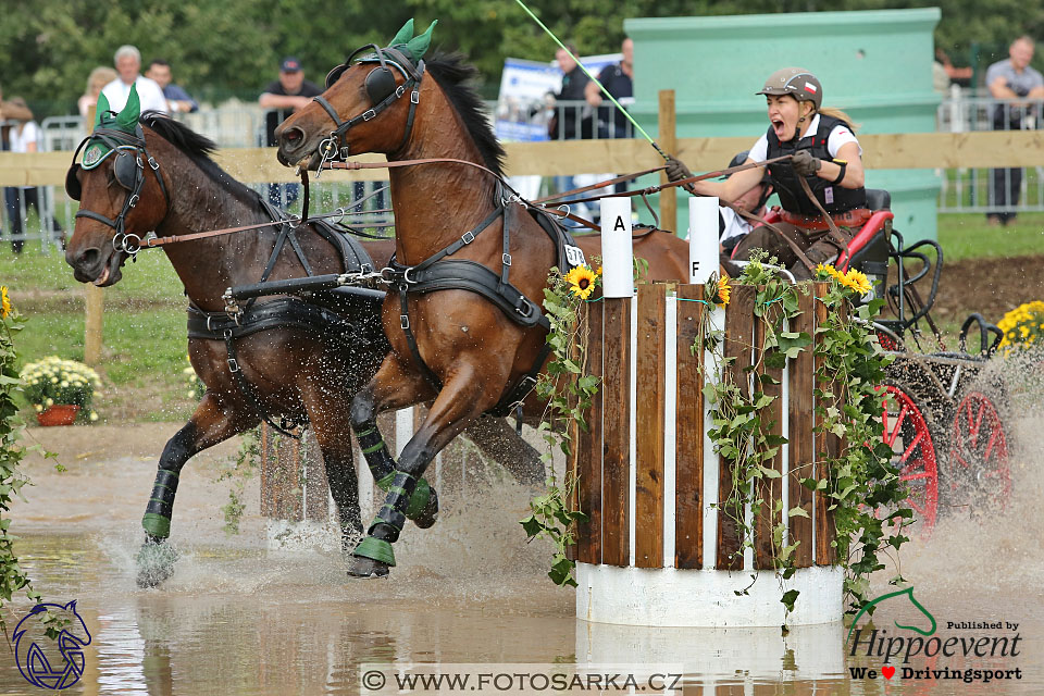 MS 2 Lipica 2017 - maraton