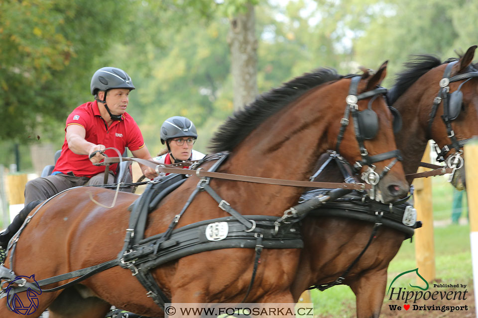 MS 2 Lipica 2017 - maraton