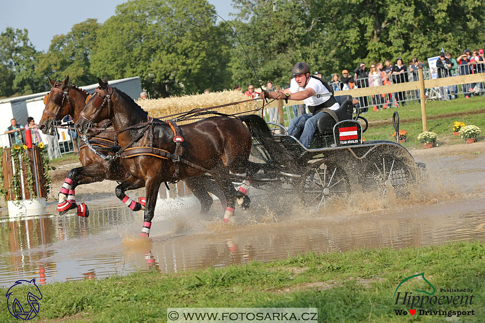 MS 2 Lipica 2017 - maraton