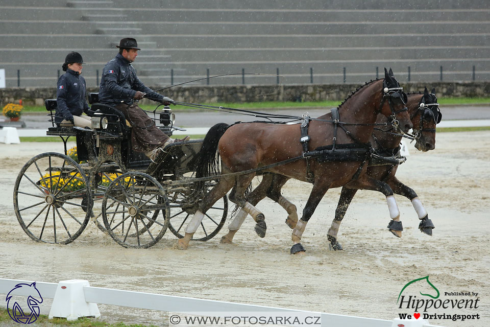 MS 2 Lipica 2017 - parkur + vyhlášení