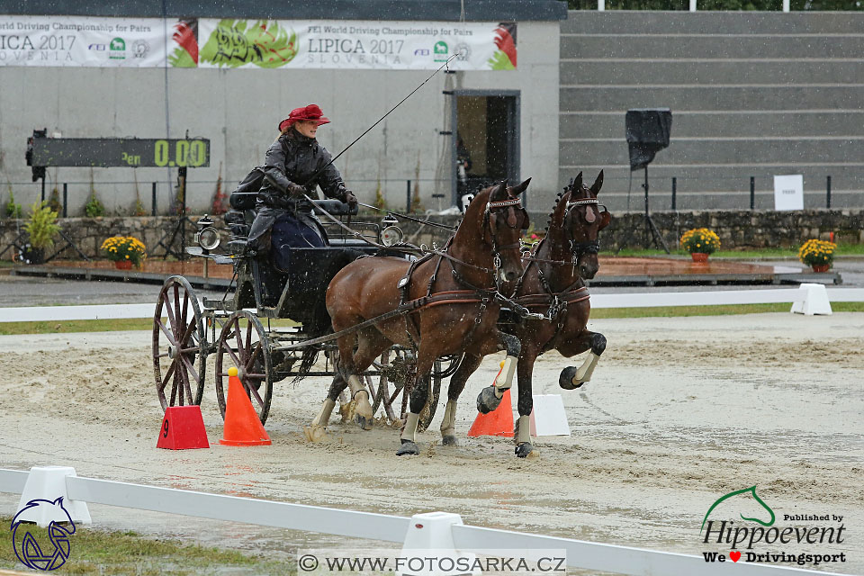 MS 2 Lipica 2017 - parkur + vyhlášení