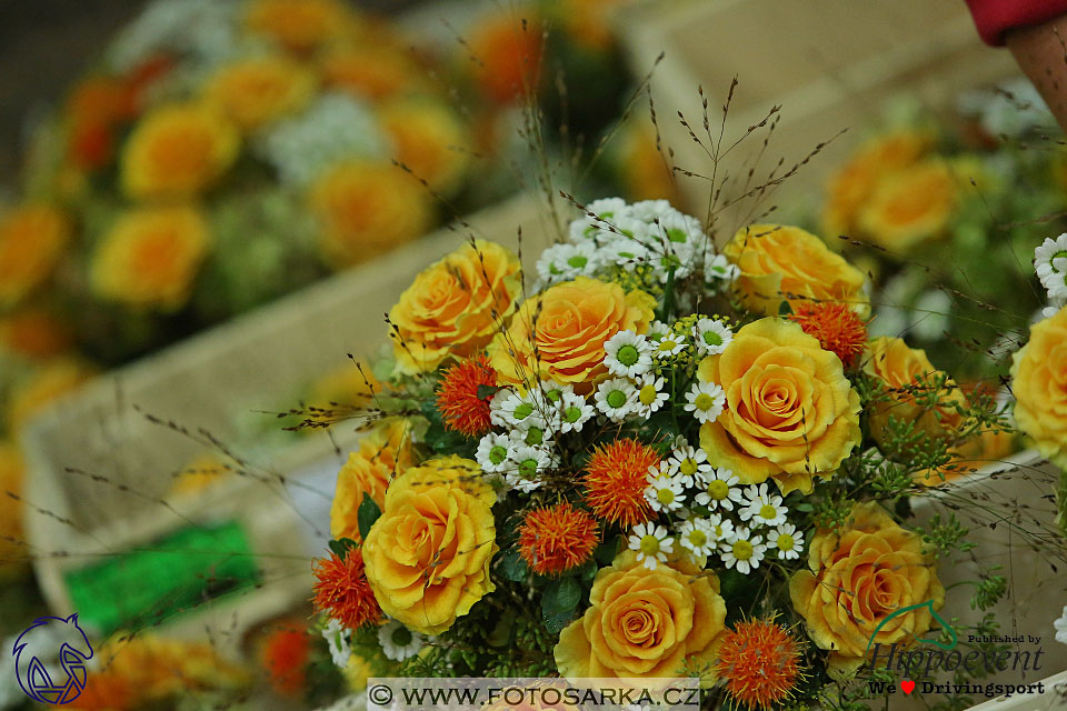 MS 2 Lipica 2017 - parkur + vyhlášení