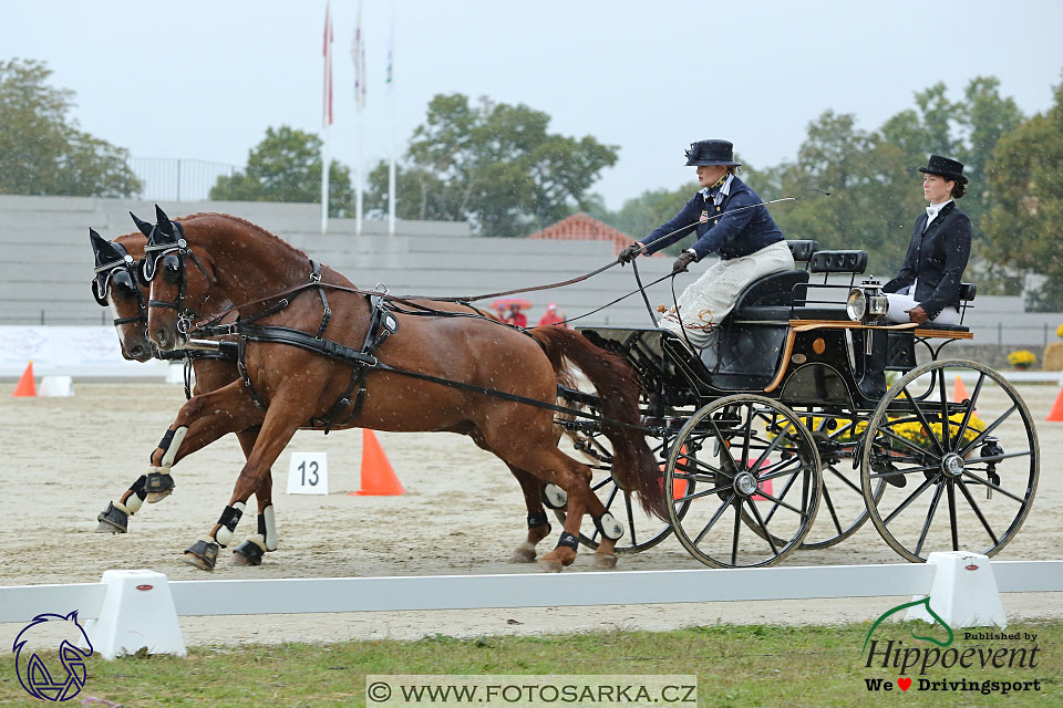 MS 2 Lipica 2017 - parkur + vyhlášení