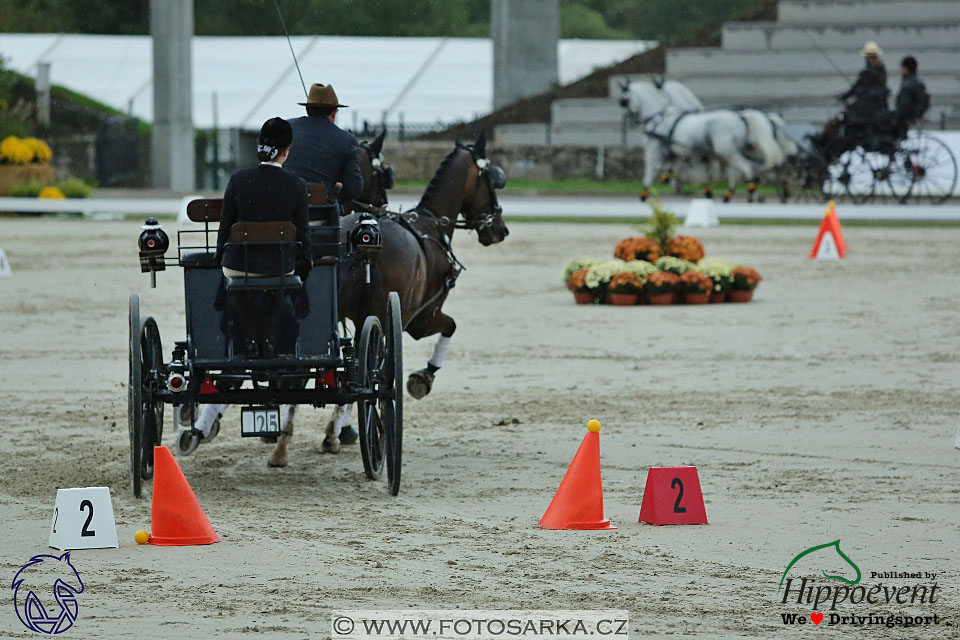 MS 2 Lipica 2017 - parkur + vyhlášení