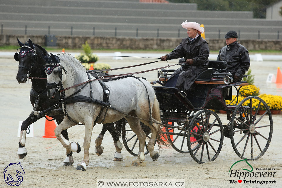 MS 2 Lipica 2017 - parkur + vyhlášení