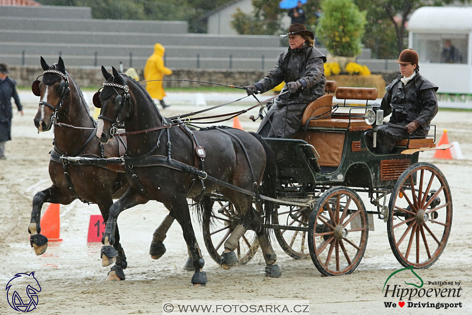 MS 2 Lipica 2017 - parkur + vyhlášení