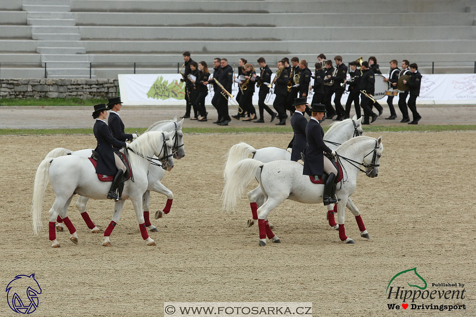 MS 2 Lipica 2017 - zahájení