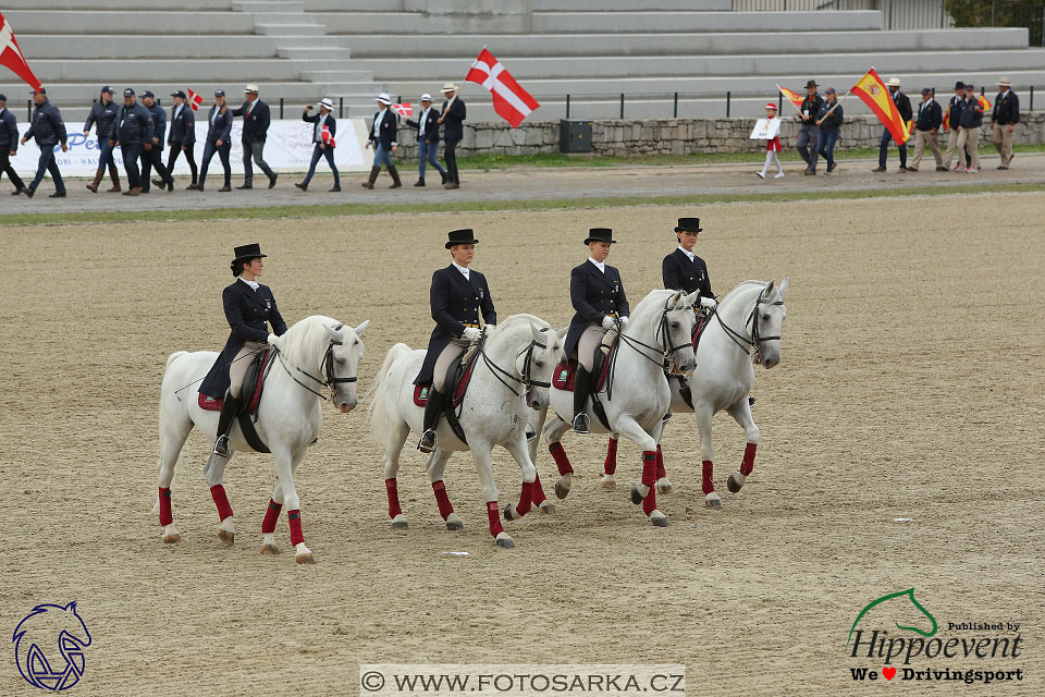 MS 2 Lipica 2017 - zahájení