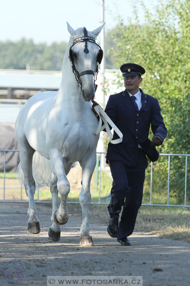 MS Breda 2016