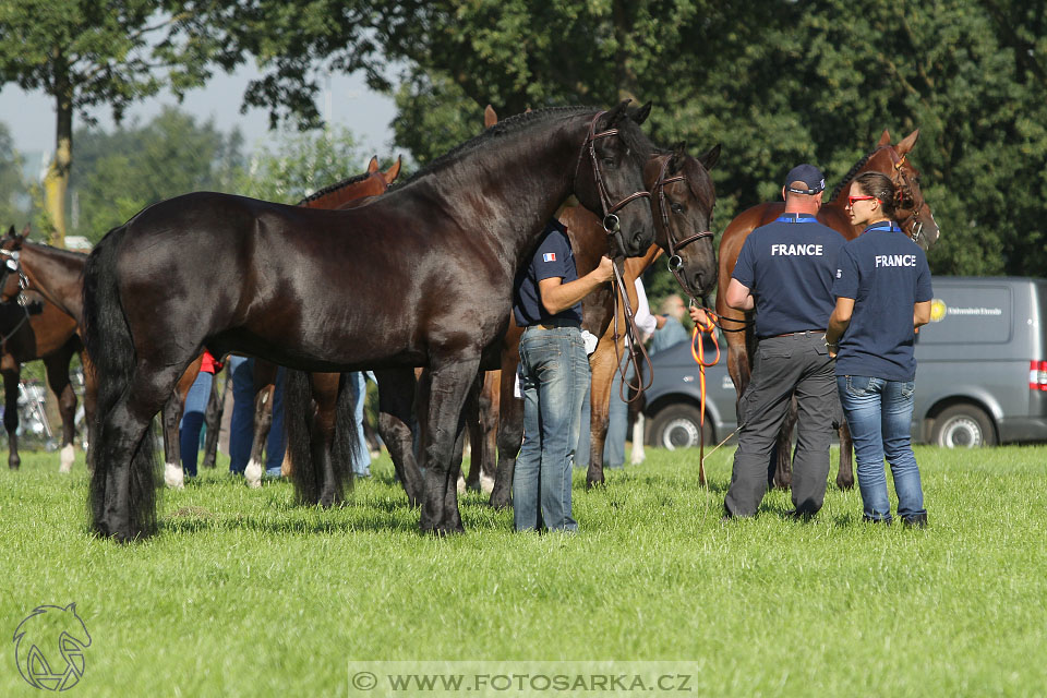 MS Breda 2016