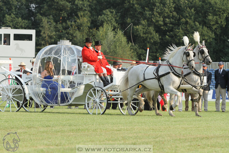 MS Breda 2016