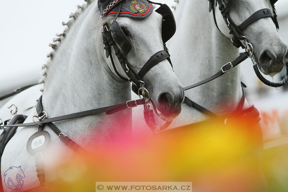 MS Breda 2016