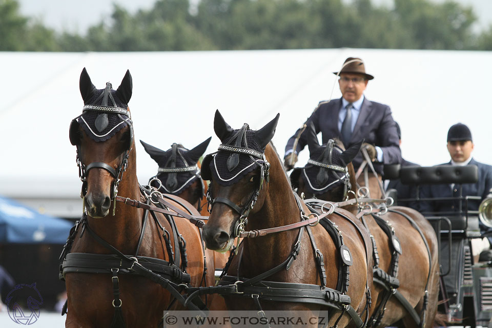 MS Breda 2016