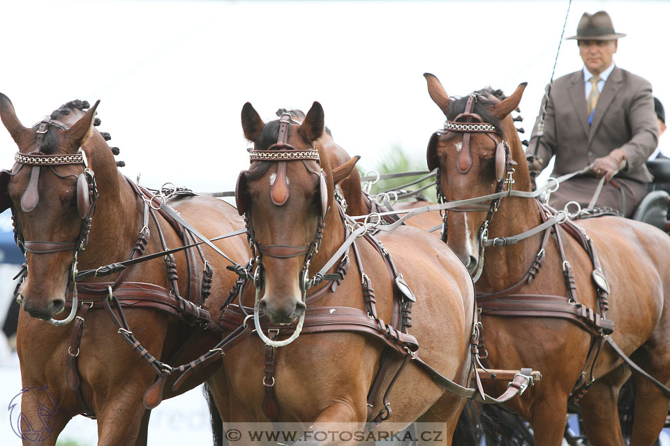 MS Breda 2016