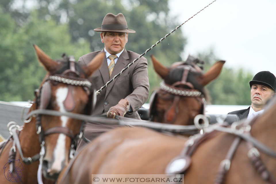 MS Breda 2016