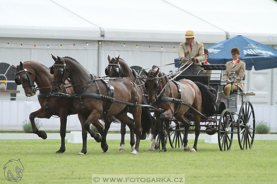 MS Breda 2016
