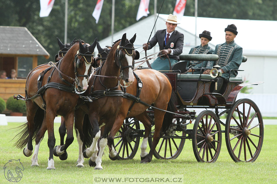 MS Breda 2016