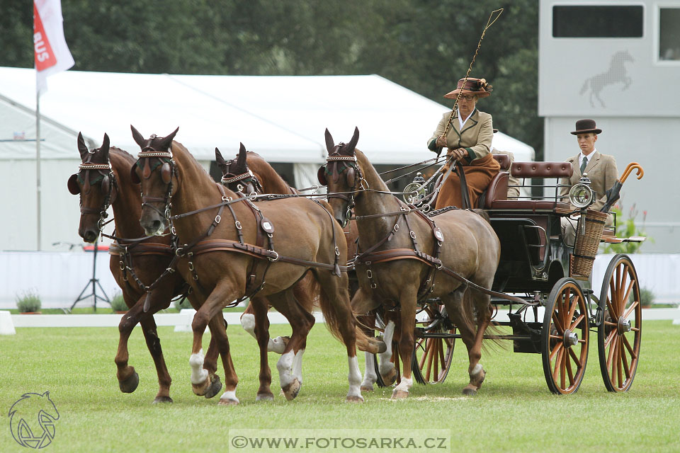MS Breda 2016