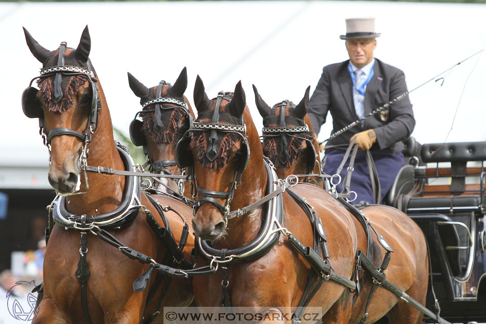 MS Breda 2016