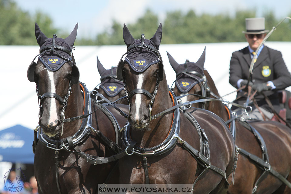 MS Breda 2016