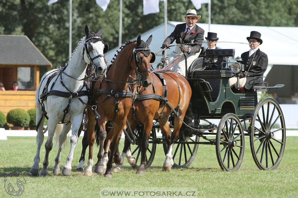 MS Breda 2016