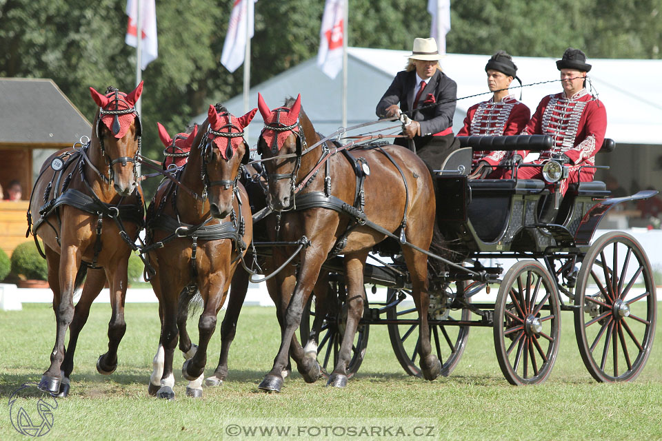 MS Breda 2016