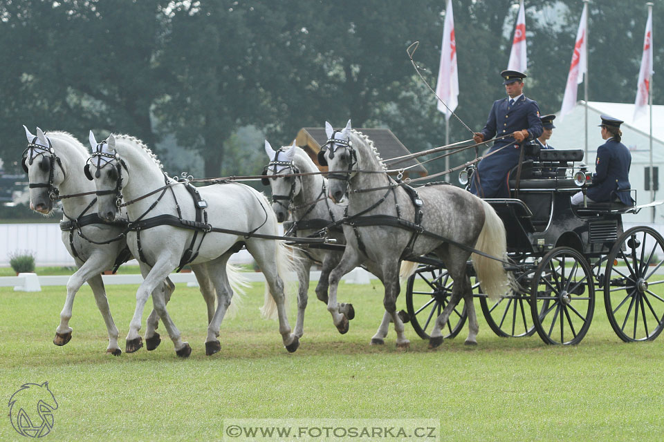 MS Breda 2016
