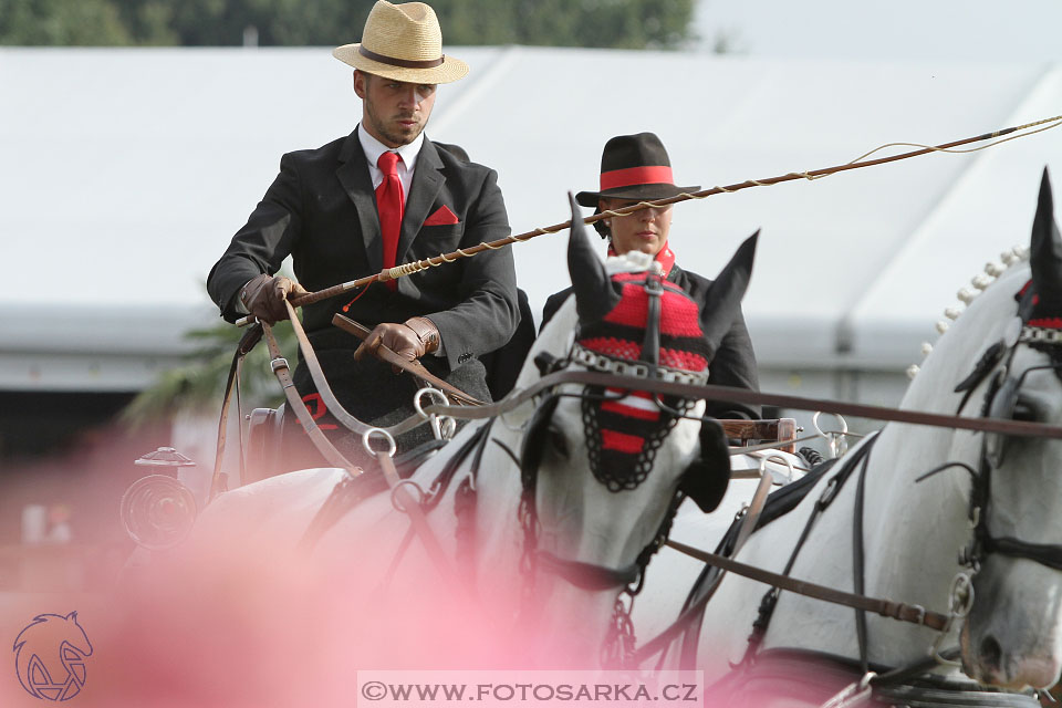 MS Breda 2016
