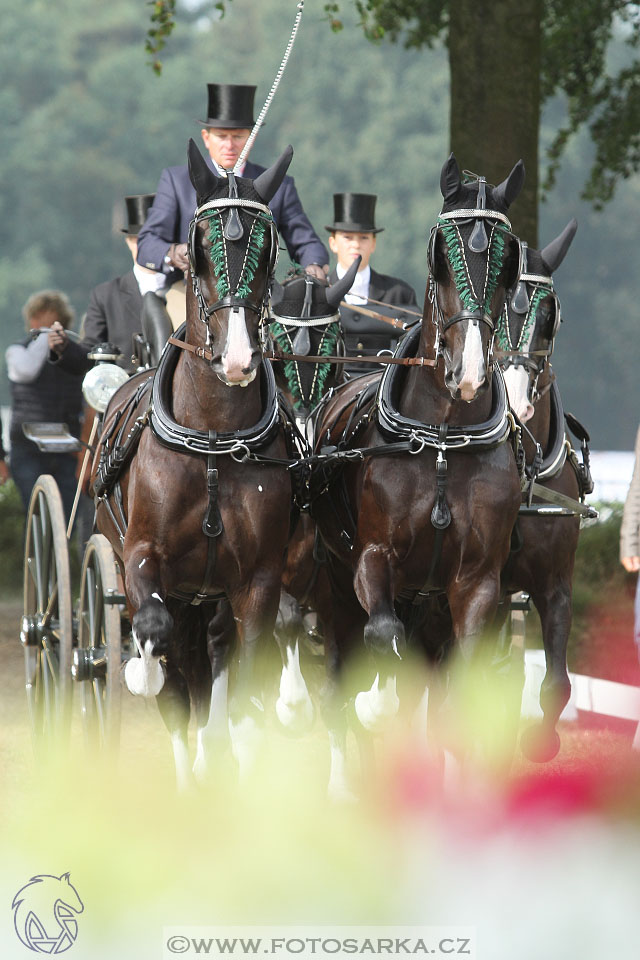 MS Breda 2016