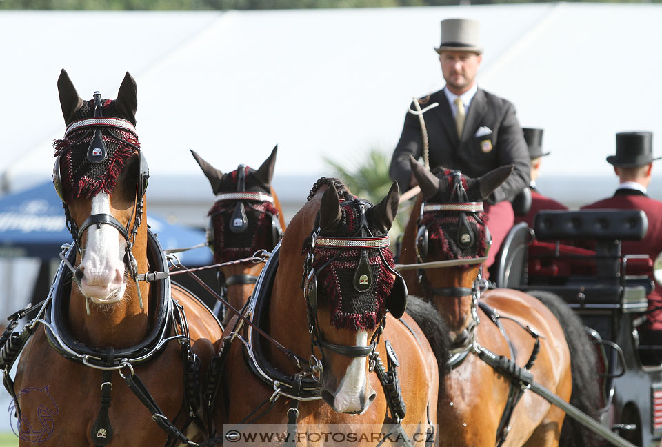 MS Breda 2016