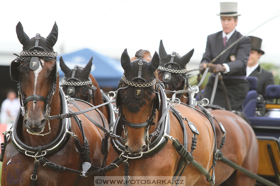 MS Breda 2016