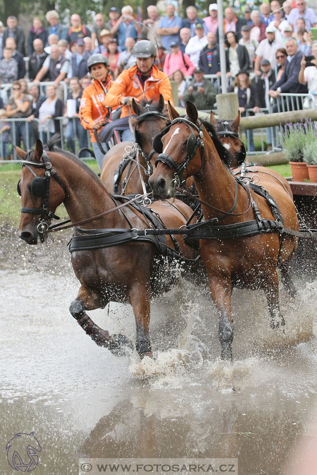 MS Breda 2016