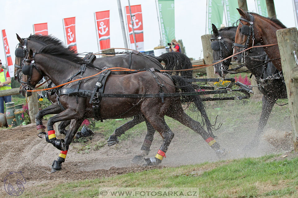 MS Breda 2016