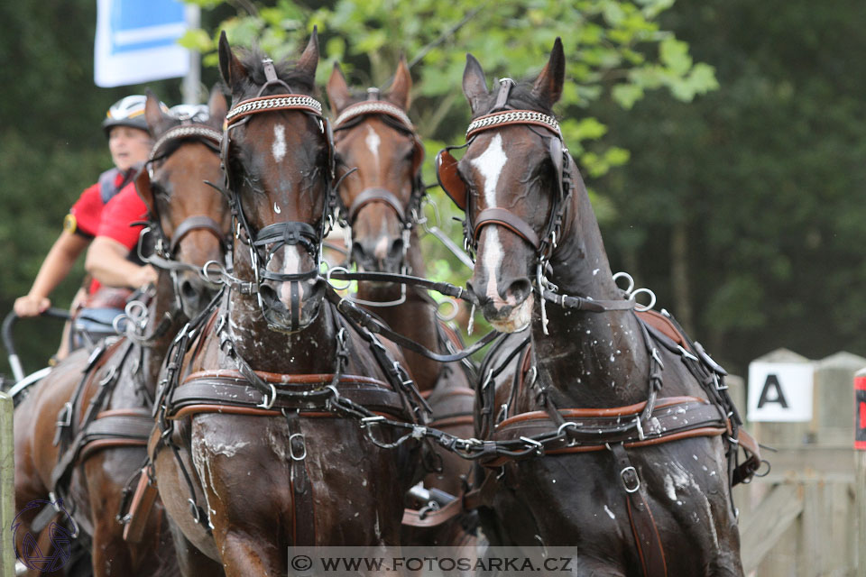 MS Breda 2016