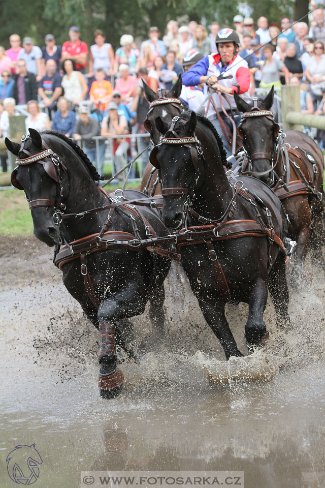 MS Breda 2016
