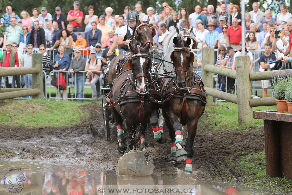 MS Breda 2016