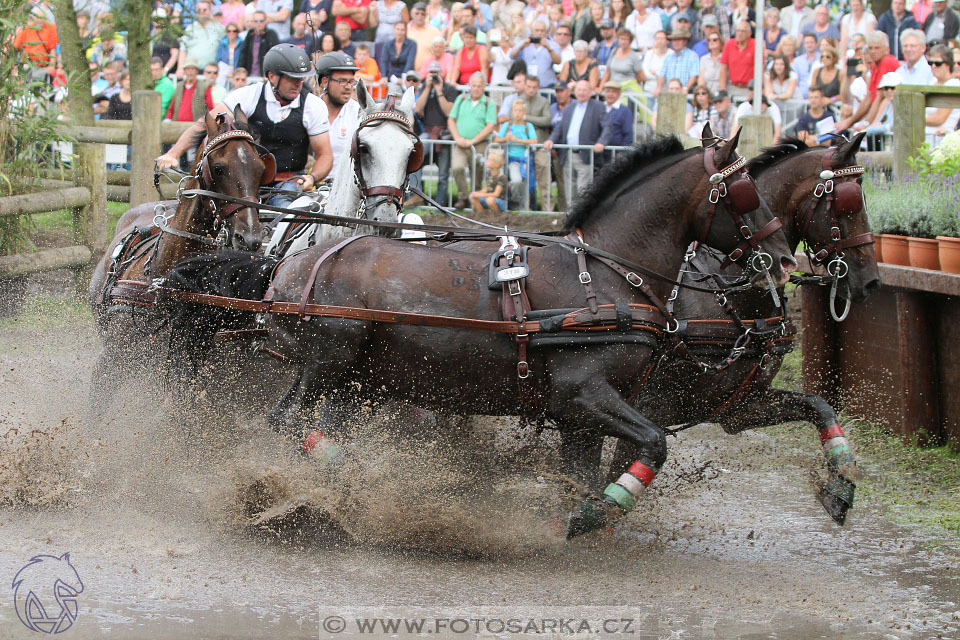 MS Breda 2016