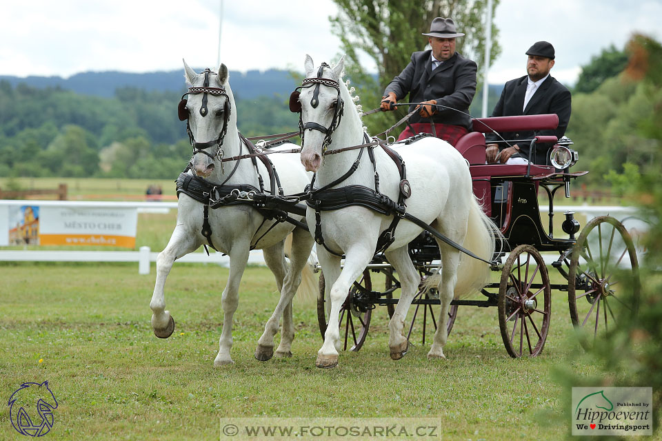 Nebanice 2017 - drezury