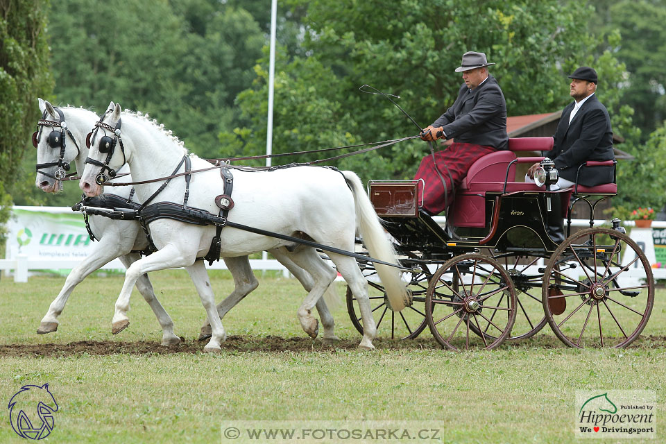 Nebanice 2017 - drezury