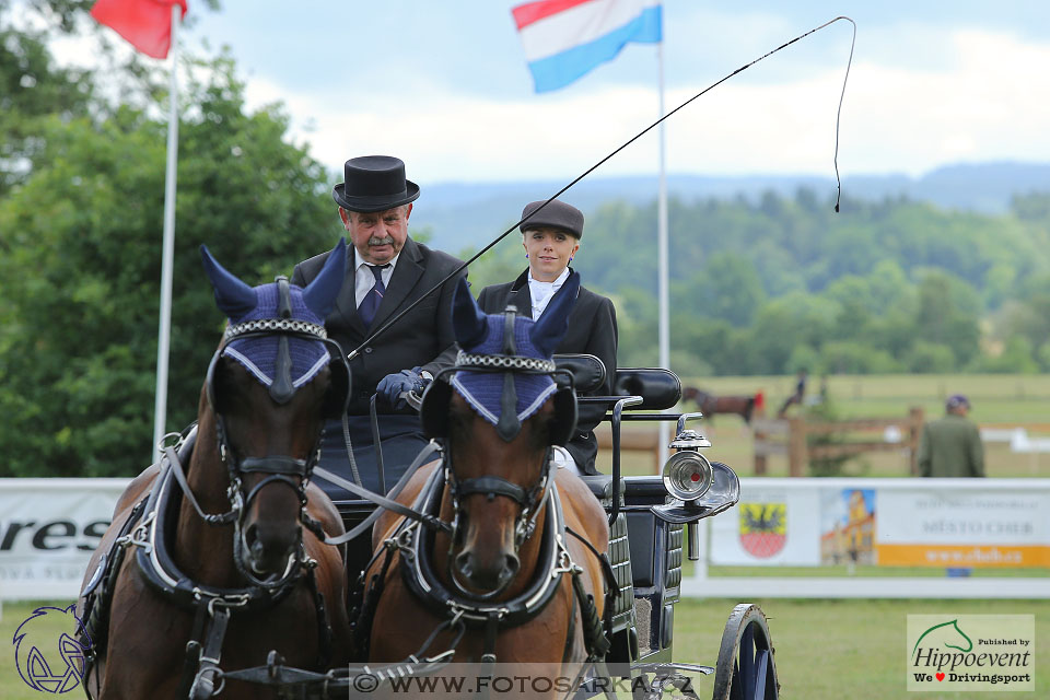 Nebanice 2017 - drezury