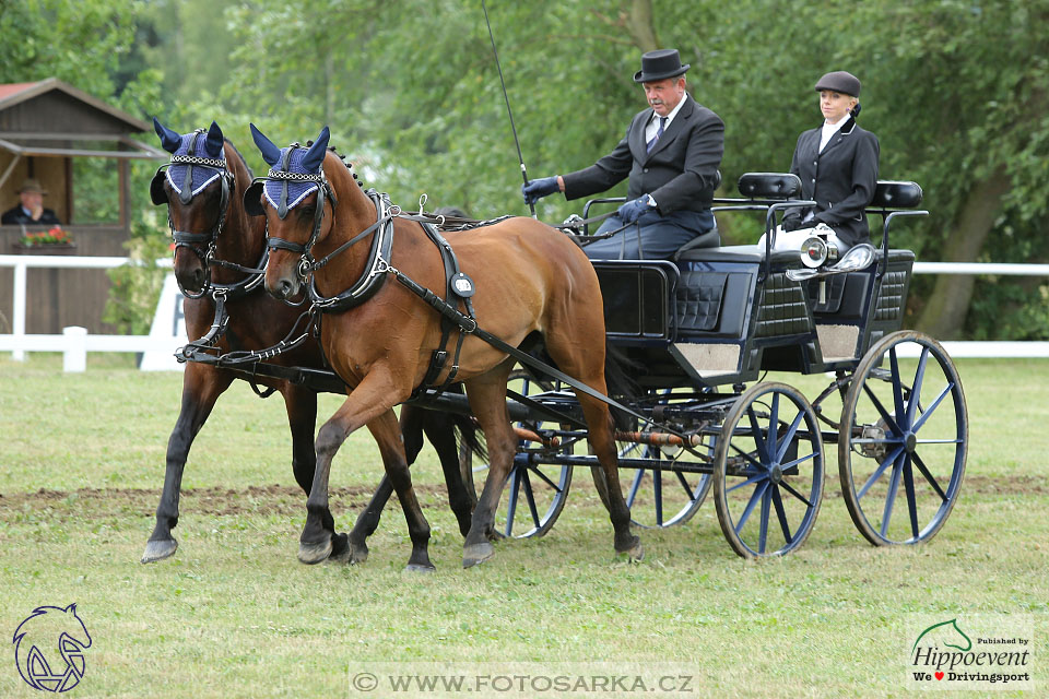 Nebanice 2017 - drezury