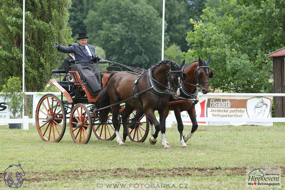 Nebanice 2017 - drezury