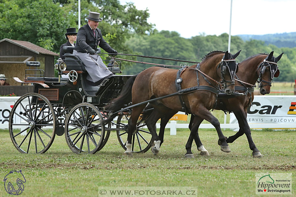 Nebanice 2017 - drezury