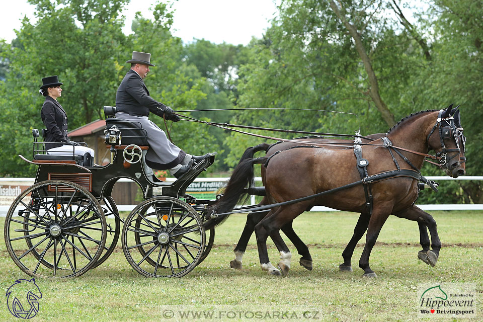 Nebanice 2017 - drezury