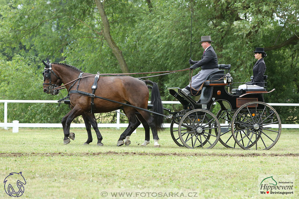 Nebanice 2017 - drezury