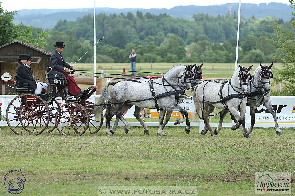 Nebanice 2017 - drezury