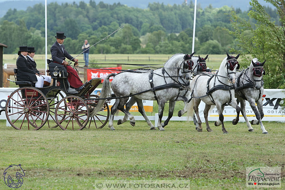 Nebanice 2017 - drezury