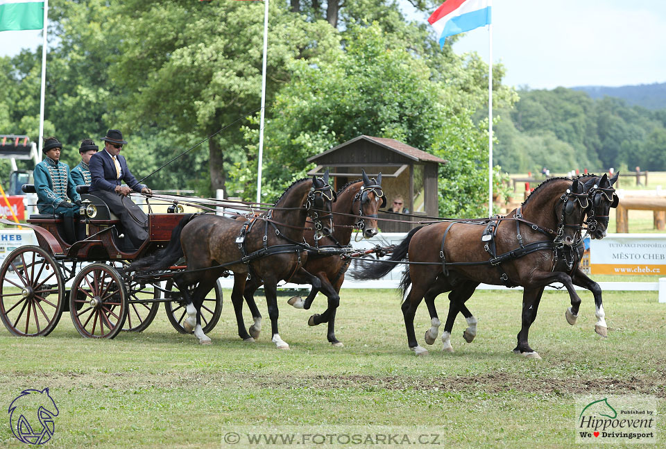 Nebanice 2017 - drezury