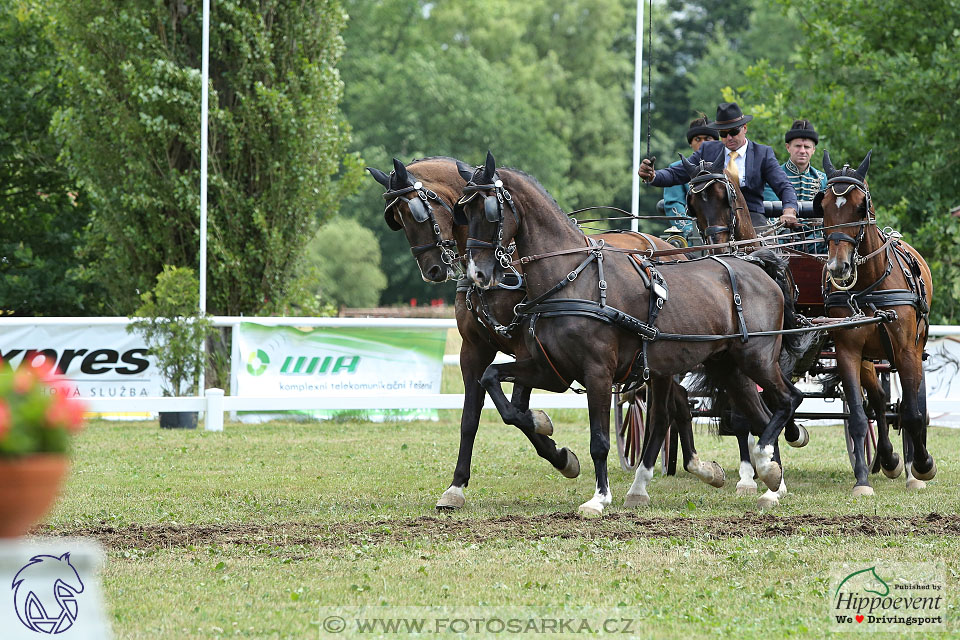 Nebanice 2017 - drezury